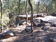 rocky
                                                          outcrop Toohey
                                                          Forest