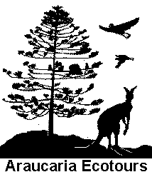 Araucaria
                Ecotours